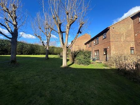 1 bedroom maisonette to rent - Photo 2