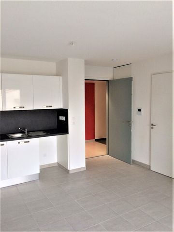 Location Appartement 2 pièces 38m² AVIGNON 84000 - Photo 2