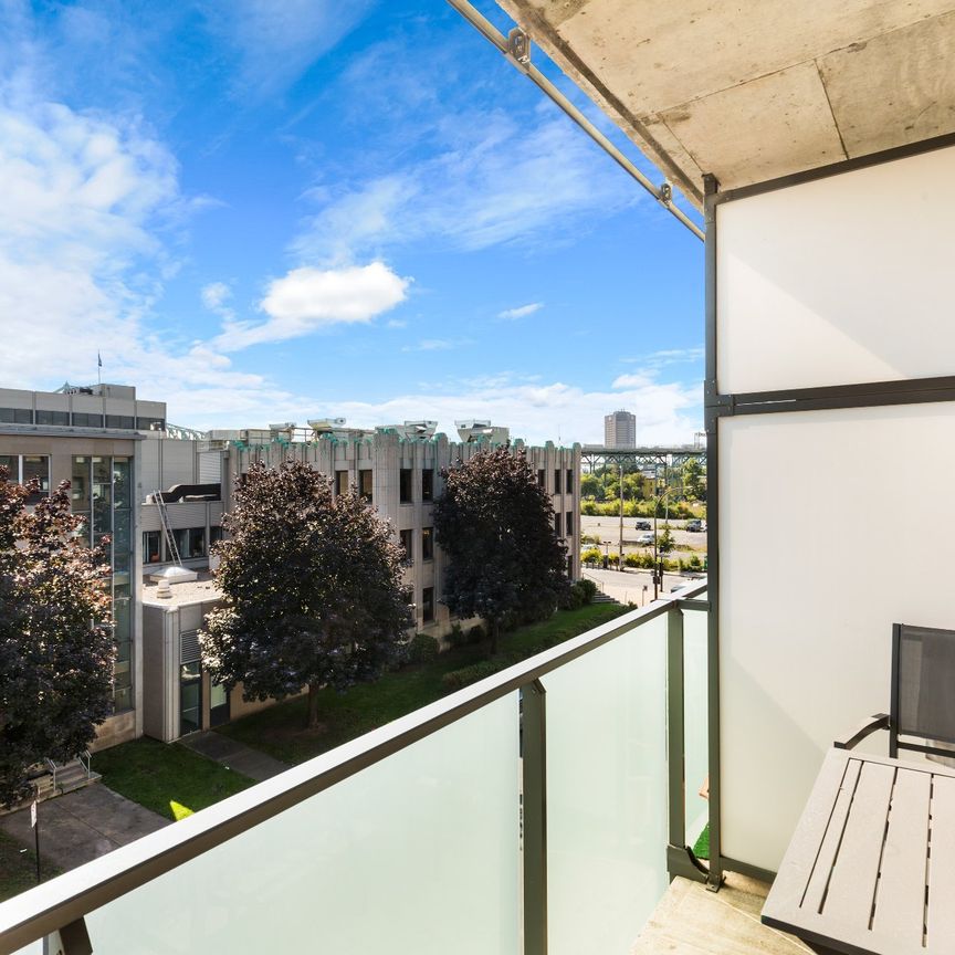 Condo for rent, Montréal (Ville-Marie) - Photo 1