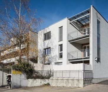 Vivre sur l’Ilfis (y compris mois gratuit) - Photo 3