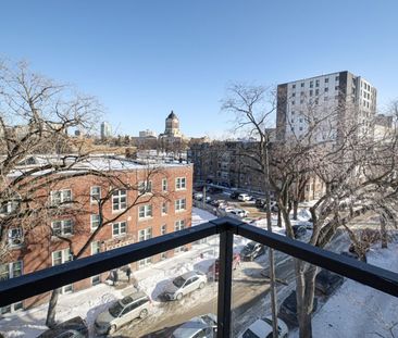 Virginia: Black Accents – 196 Colony, Winnipeg, MB - Photo 6