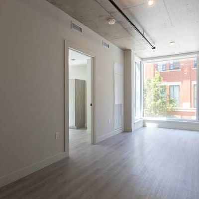 2 Bedrooms, Steps from uOttawa, Available November 1st - Photo 4