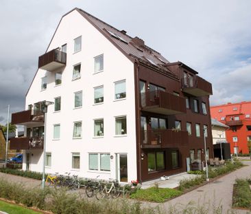 Oskarsgatan 19, Kneippen - Foto 3