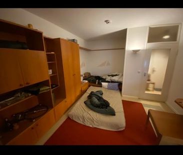 Studio apartment with separate kitchen and bathroom - Photo 1