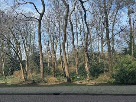 Te huur: Appartement Delistraat in Den Haag - Photo 2