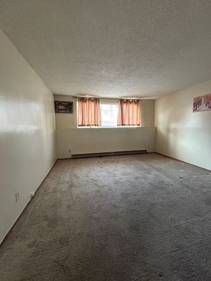 1 Bedroom Apartment in Caswell Hill - Photo 1