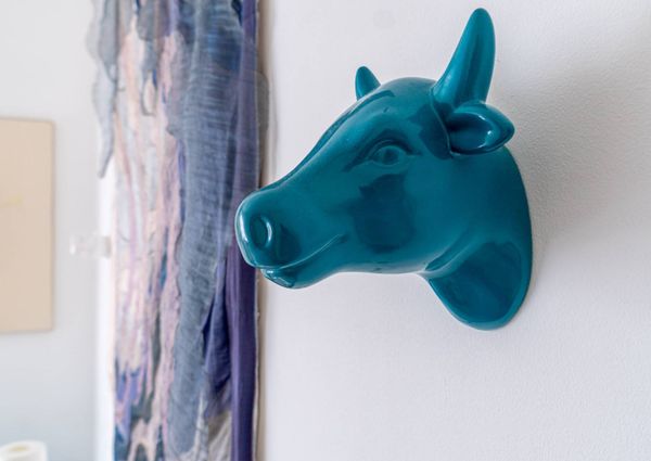 Appartamento in affitto - Centro Storico (Genova)