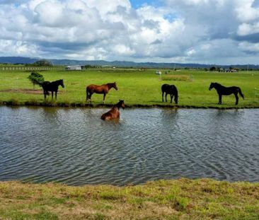 Private Studio Living All Bills Included Equestrian Property Setting - Photo 3