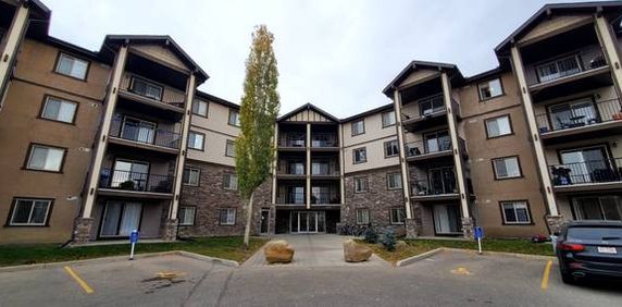 Almost 1000 sqft corner suite 2 bdrms 2 bath apartment in Panorama! - Photo 2