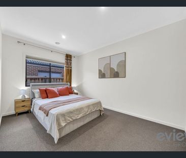 Stunning Family home in the Wynbrook Estate! - Photo 3