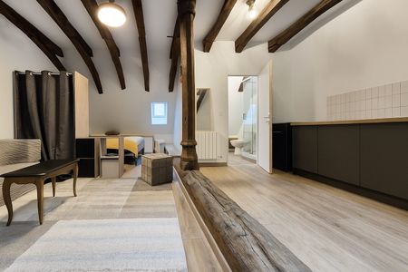 Location Appartement 1 pièce 28m² BEAUNE 21200 - Photo 4