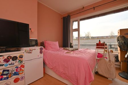 Kamer, Hoornsediep - Foto 4