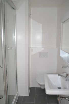 Gradelle - Au dessus du parc des Eaux-Vives - Photo 1