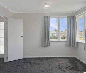 65A Hinemoa Street, Levin - Photo 5