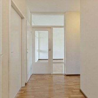 Eenhoornsingel, 6216 CG Maastricht, Nederland - Foto 3