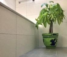 1.5 Zimmer, 30 m² - Foto 4