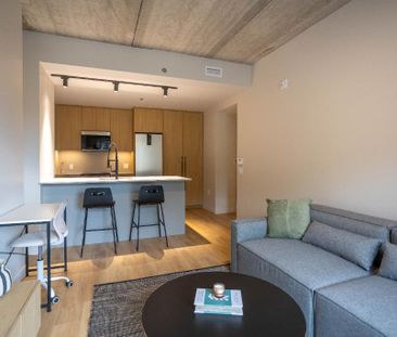 4 1/2 APPARTEMENT MEUBLÉ À LOUER - Photo 3