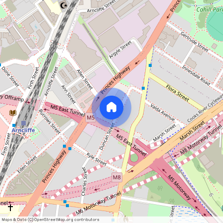 13 Duncan Street Arncliffe