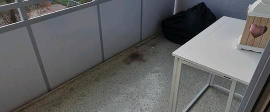 2 1/2 Zimmer Wohnung in super Lage - Foto 1