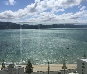 3D/20 Oriental Terrace, Oriental Bay, WLG 6011 - Photo 5