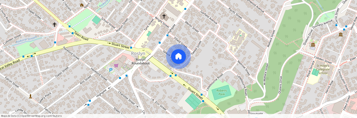 29 Selkirk Street, Roslyn, Dunedin