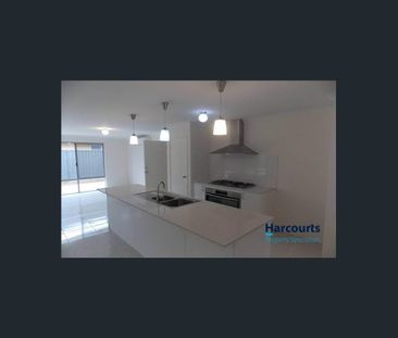 Spacious 4x2 Family Home in the Heart of Byford - Photo 6