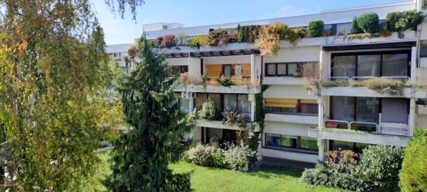 Nussdorf, ruhige + sonnige Wohnung mit 8m² Balkon, Schwimmbad 27°C, Sauna, Gemeinschaftsgarten, 2 Gehminuten zur Straßenbahn - Photo 1