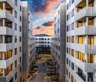 G11/38 Oakden Street,, Greenway ACT 2900 - Apartment For Rent | Domain - Photo 5