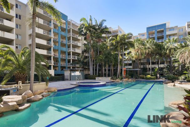 93/41 Gotha Street, Fortitude Valley QLD 4006 - Apartment For Rent | Domain - Photo 1