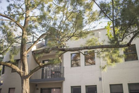 42/75a Ross Street, Glebe NSW 2037 - Apartment For Rent | Domain - Photo 4