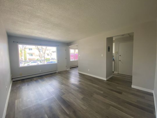 Princeton Manor - Photo 1