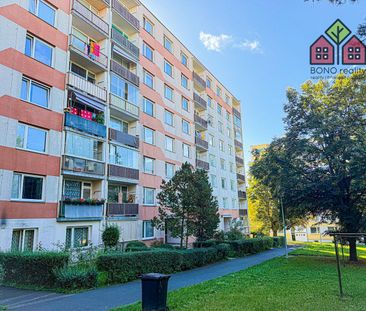 Pronájem bytu 1+1 34 m² - Photo 6