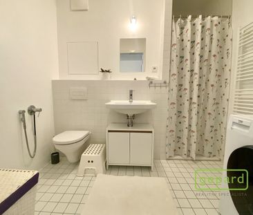 Pronájem bytu 1+kk 44 m² - Fotografie 6