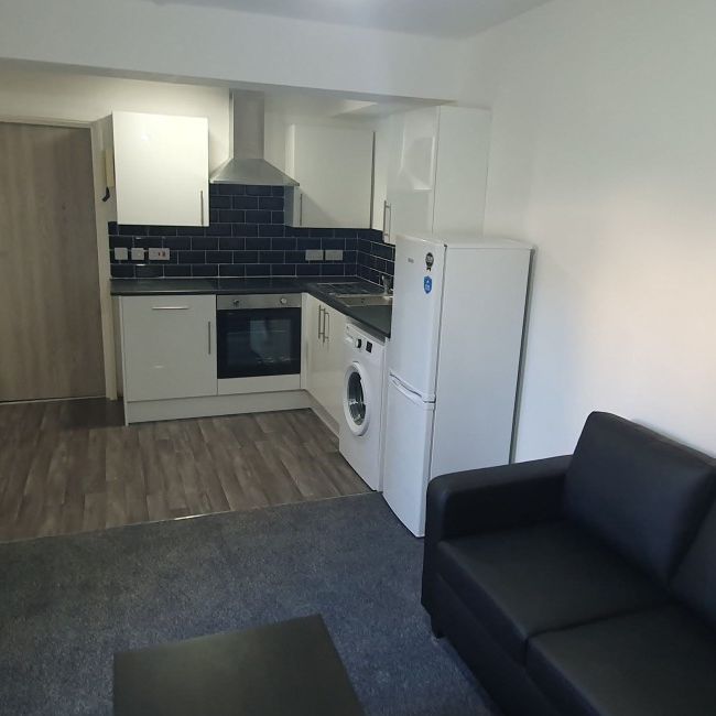 Flat 2, 20 Mundy Place, Cathays, Cardiff, CF24 4BZ - Photo 1