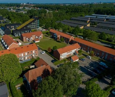 Dejlig 2-værelses lejlighed med egen terrasse - Photo 1