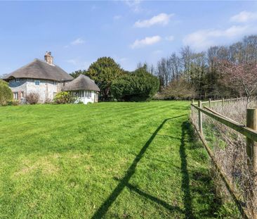 A stunning, detached, thatched house nestled within the West Dean E... - Photo 6
