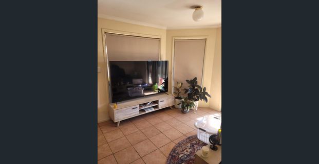 Neat and Tidy 3 Bedroom, 1 Bathroom - Photo 1