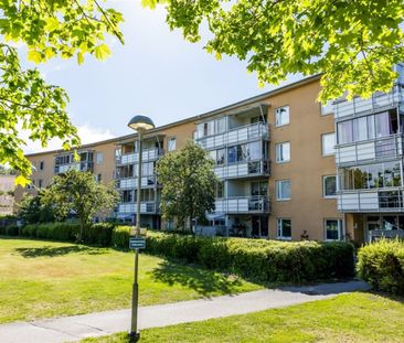 Guldringen 1 - Photo 4