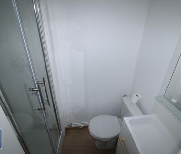 Location Appartement 1 pièce 20m² GRENOBLE 38000 - Photo 3