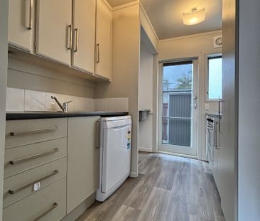 Sunny Unit - Photo 4