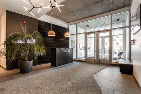 Condo for rent, Montréal (Le Sud-Ouest) - Photo 4