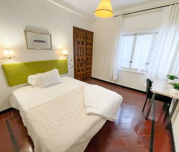 Calle Miguel Mañara, Sevilla, Andalusia 41004 - Photo 5