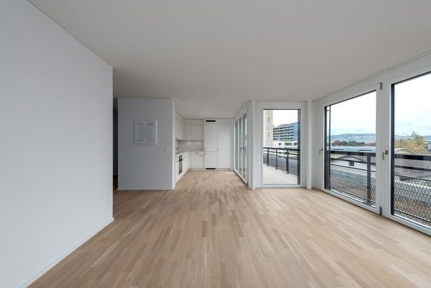 Attikawohnung am Letzigraben in 8047 Zürich Albisrieden - Photo 1