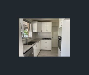 Renovated Home in Prime Central Location - Photo 6