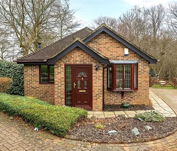 A well presented home with delightful gardens backing onto communal... - Photo 3