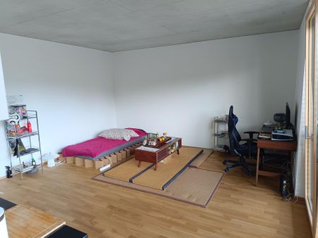 Möbliertes Studio (Neubau) befristet zu vermieten - Photo 2
