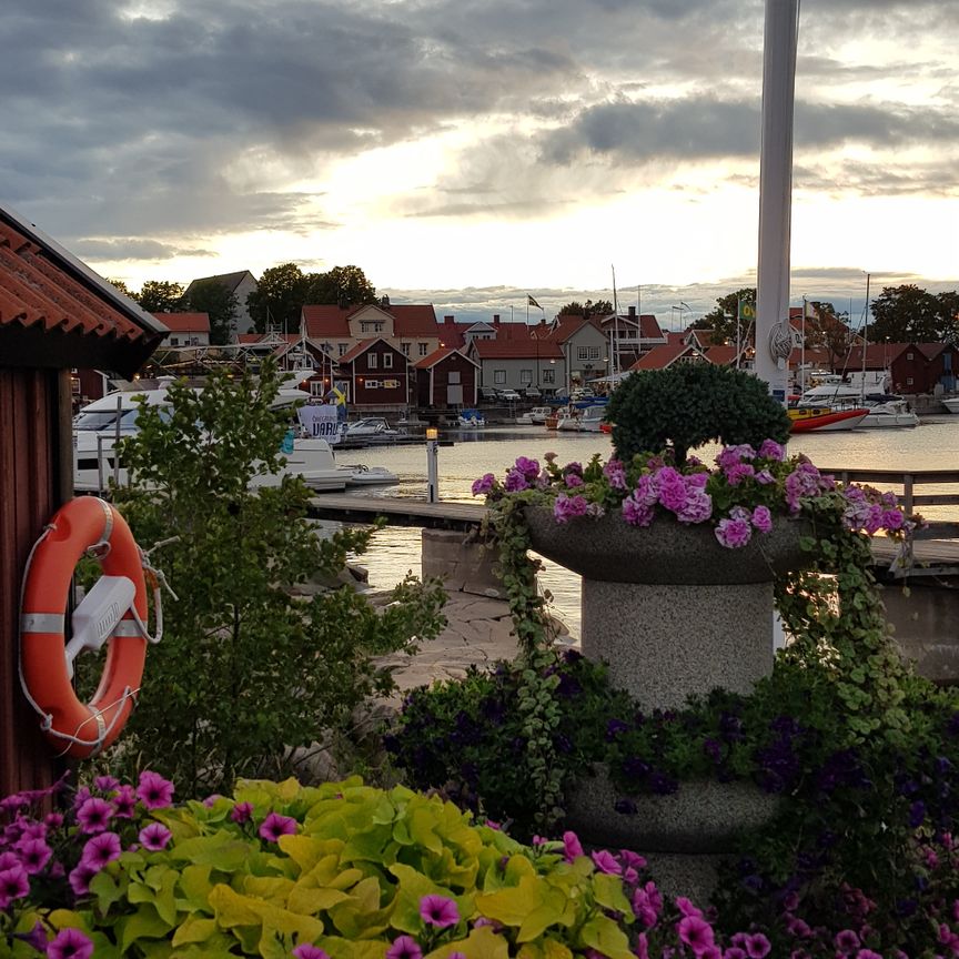 Utkiksgränd, Öregrund - Photo 1