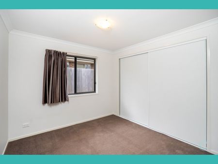 17 Isbister Street, Macgregor ACT 2615 - House For Rent | Domain - Photo 3