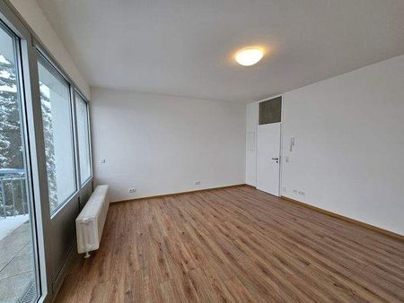 Frische renovierte 1-Zimmerwohnung in Kilianstädten - Foto 5