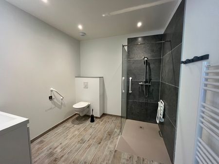 Location Appartement 1 pièce 30m² CARMAUX 81400 - Photo 5